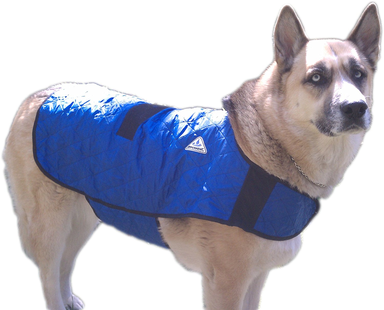 Cooling Coat