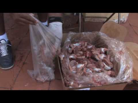 ‪Feeding Bulldogs BARF diet - Bones And Raw Food‬