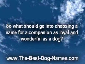 Choosing a Bulldog Puppy Name