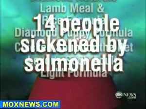 Dog Food Recall