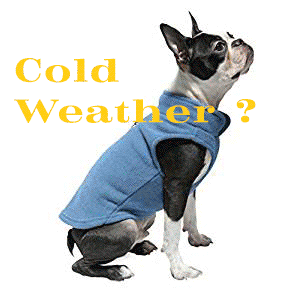 Cold Weather Dog Vest