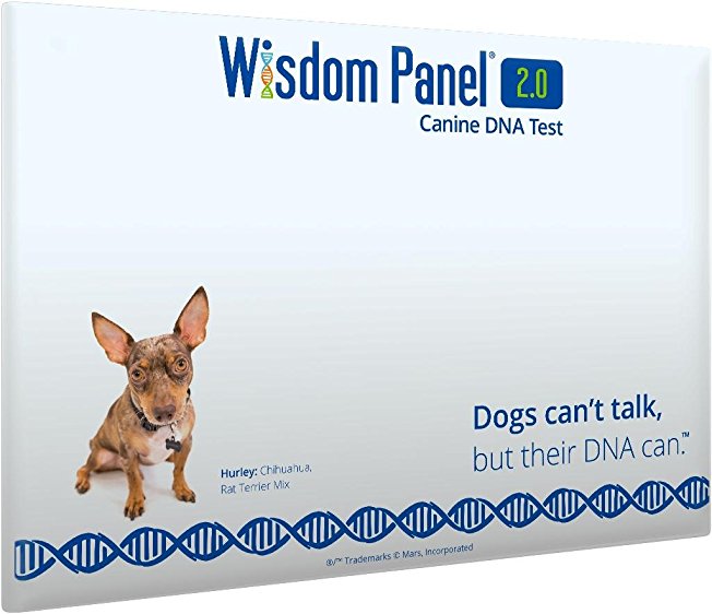 Wisdom Panel 2.0 Breed Identification DNA Test Kit